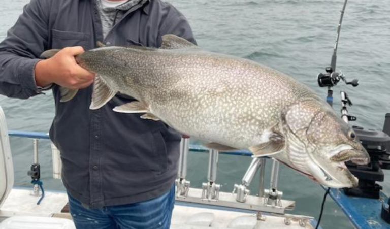 Home - Fishing Charters Duluth